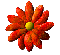 icq.gif