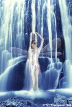 L'eau glisse comme sur les ailes du cygne de Tim Thompson